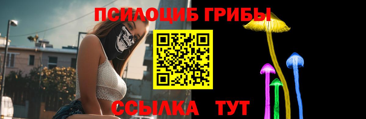 Псилоцибиновые грибы прущие грибы  Вход с VPN  Псилоцибиновые грибы GOLDEN TEACHER  Нефтеюганск 